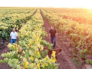 R-N-R Vineyards and Winery