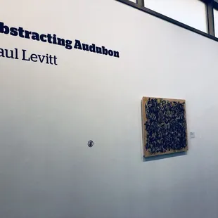 Paul Levitt&apos;s Abstracting Audubon Exhibit