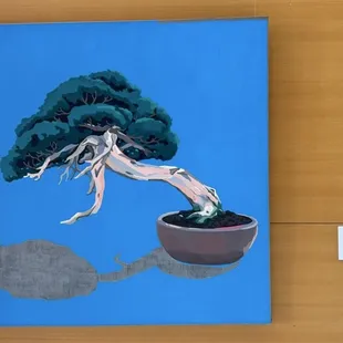 Yumiko Glover:  Shimpaku Juniper