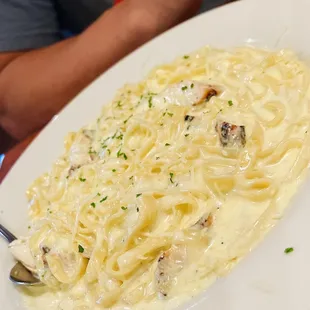 Chicken Alfredo