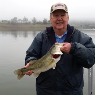 Rod S.
