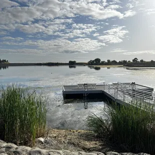Morning walk b/4 work (6:30am) Contra Costa Regional Park