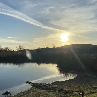 Beautiful sunrise. In nature enjoying the lake, mountain view, ducks eating. birds chirping.