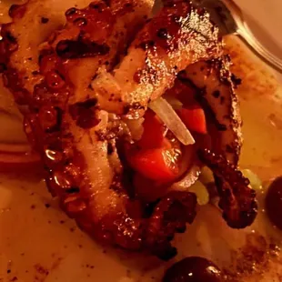 Grilled octopus