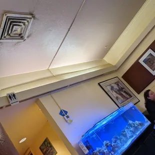 Not many fish in the fish tank