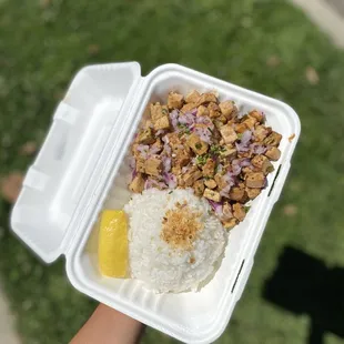 a hand holding a container of food