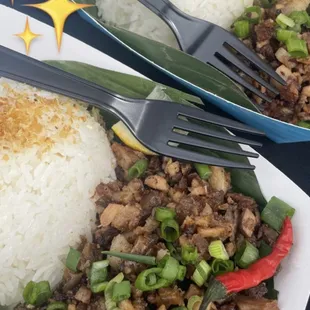 a plate of rice and meat