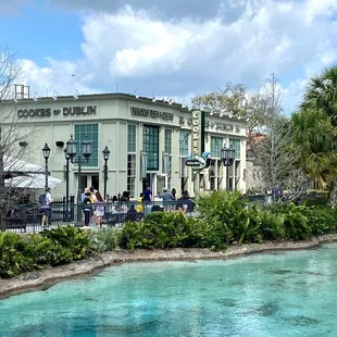 Chicken tenders &amp; chip basket |Cookes of Dublin | Disney Springs | February 23, 2023