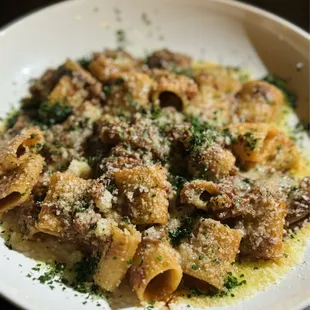 Duck rigatoni