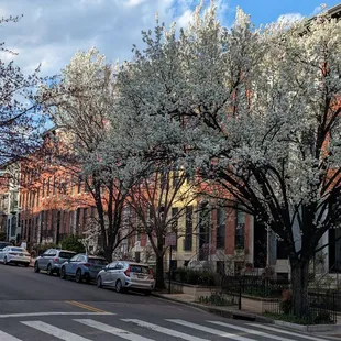 Why wouldn't you want to come to this charming neighborhood!