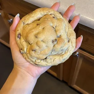 a hand holding a chocolate chip cookie