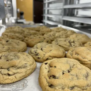 Chocolate chip.