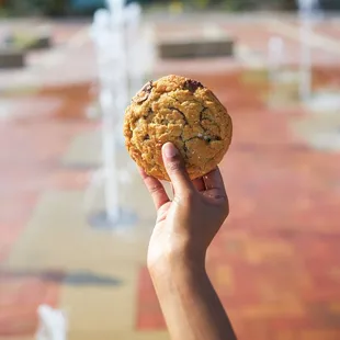 Classic Chocolate Chip