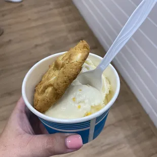 Lemon ice cream and lemon cookie