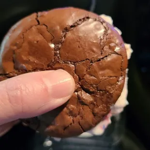 a hand holding a cookie