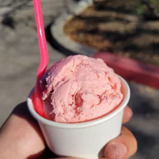 Very Strawberry scoop in a cup.