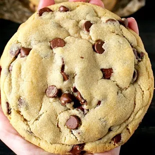a hand holding a chocolate chip cookie