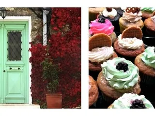 The Cleveland Cupcake Company