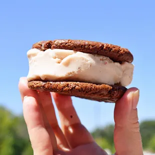 Double Chocolate Cookies &amp; Strawberry Cheesecake Ice Cream