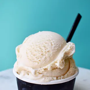 Madagascar Vanilla Bean Ice Cream