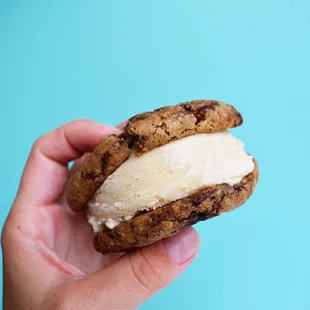 Cinnamon Roll cookies &amp; Vanilla Bean Ice Cream
