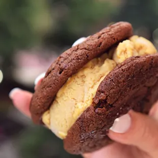 Double Chocolate &amp; Sea Salt Caramel Ice Cream