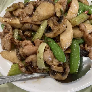 Ell. Chicken & Assorted Mushrooms with House Chill Sauce XO