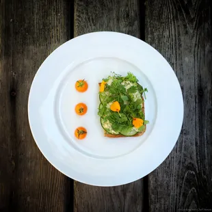 Open Face Pesto Tuna Sandwich with Freshly Harvested Cucumber, Cherry Tomatoes, Dill and Cilantro on a Toasted Dill Rye Loaf Topped with Edi