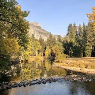 Fall foliage along the loop