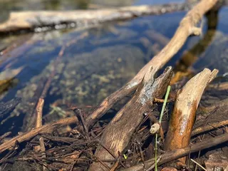 Yosemite National Park