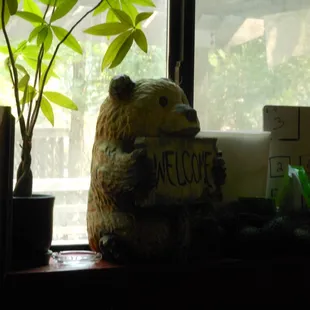 bear in window