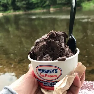 Heavenly hazelnut, riverside