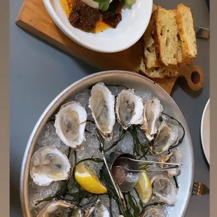 Oysters and burrata. So delicious