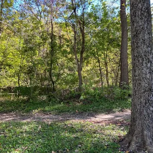 Lunch with my kids at Cool Creek park