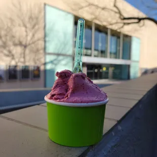 Berry Gelato