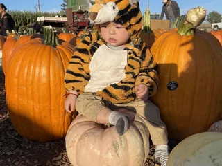 Perry's Pumpkin Farm