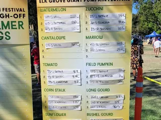 Elk Grove Giant Pumpkin Festival