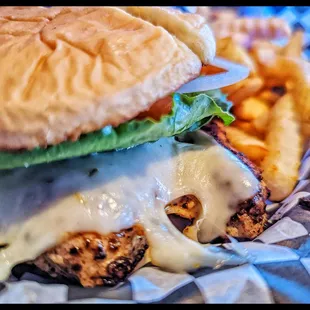 The best in town -- Hands Down  Chicken Sandwich