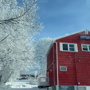 2022 winter wonderland cool wave