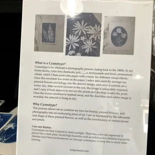 The artist talks about her craft.