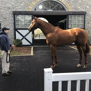 Justify