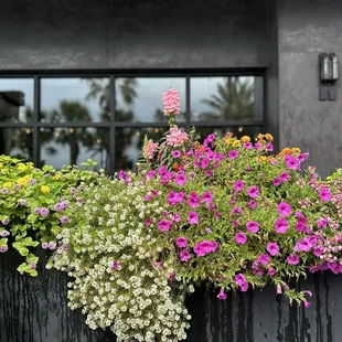 Front of the Restaurant flowers