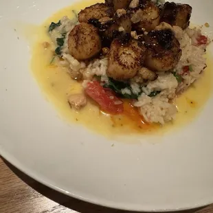 Scallop special! Yum