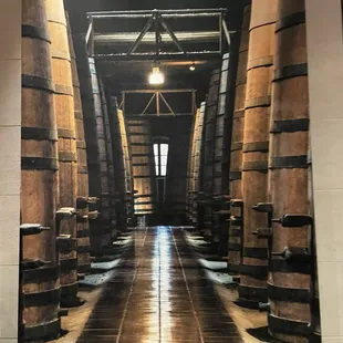  wine barrels lined up in a row
