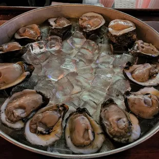 Raw Oysters