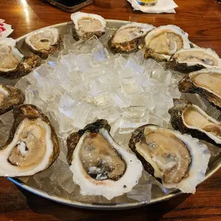 Raw Oysters