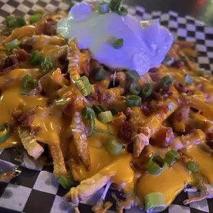 Loaded Fries