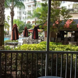 Copa loca from our patio!