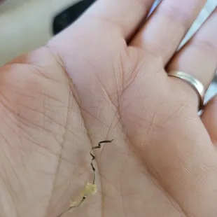 metal shaving in my soup!