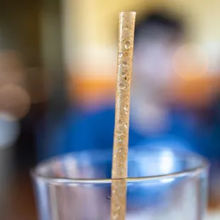 Biodegradable Agave Straws